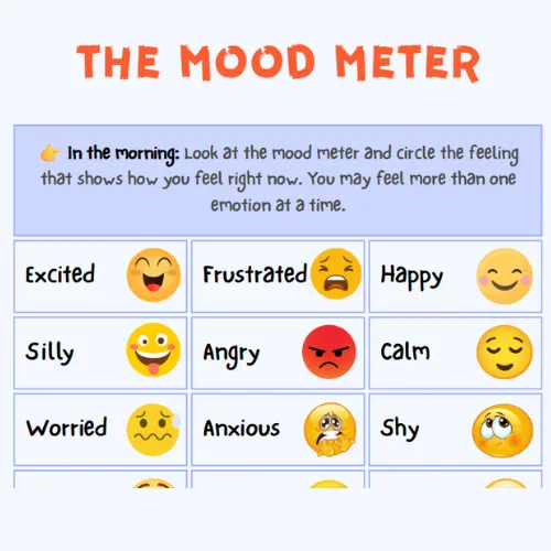Building Emotional Regulations Skills